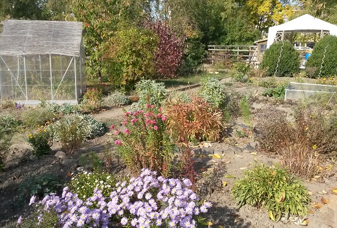 Garten AG DRK Hort Sonnenschein