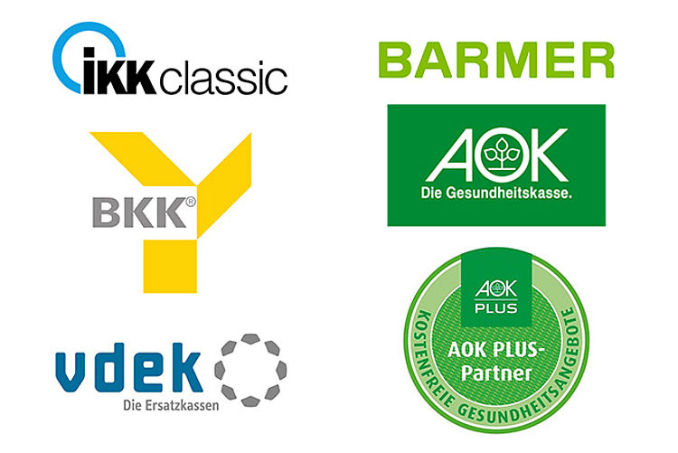 Sechs Logos von gesetzlichen Krankenkassen. IKK classic, BKK, vdek, Barmer, AOK und AOK plus
